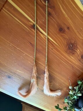 Pampas grass stems NWT